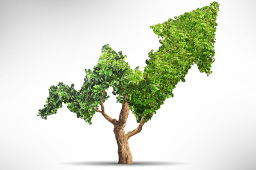 国家绿色发展基金汪义达：绿色金融助力实现碳达峰、碳中和