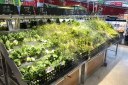 山东确定227个蔬菜基地和批发市场为重点保供单位 累计向上海供应蔬菜3190吨