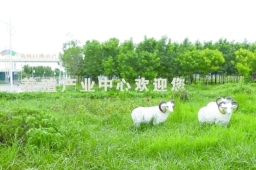 “黄河口滩羊”成群的金融密码
