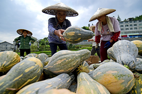 2022年陕西<em>苹果</em>猕猴桃产量分别较上年增长4.8%和7.3%