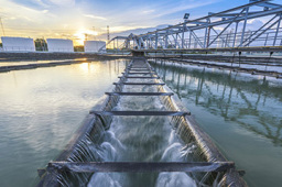 2022年陕西水产品总产量达17.35万吨