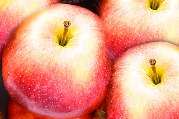 延安苹果脆片首次出口以色列 又一苹果深加工产品获国际市场“入场券”