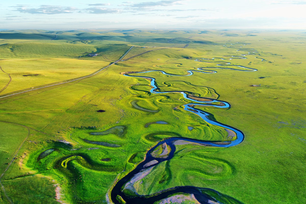 内蒙古已争取中央林草资金过百亿