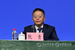 上海市发展改革委副主任阮青：聚焦四个“提升” 实施自由贸易试验区提升战略