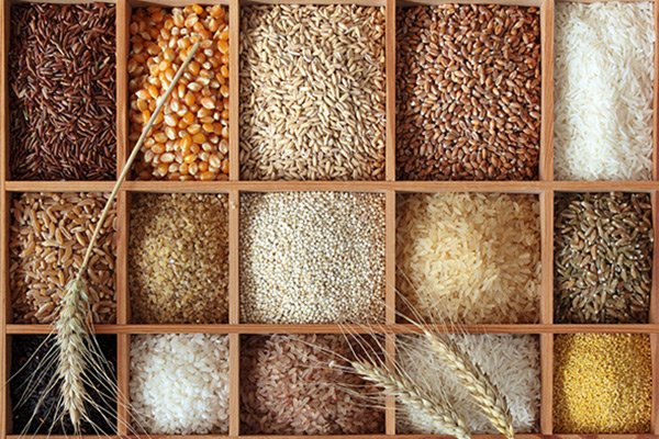 兴安盟稻米全产业链将一粒米做到极致