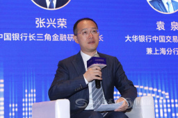 中国银行上海市分行长三角金融研究院院长张兴荣：中资企业海外布局拥有独特优势和新机遇