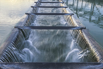 隆华新材：公司聚醚可用于水利工程的防水堵漏