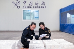 阿富汗石榴通关了！将首次亮相进博会