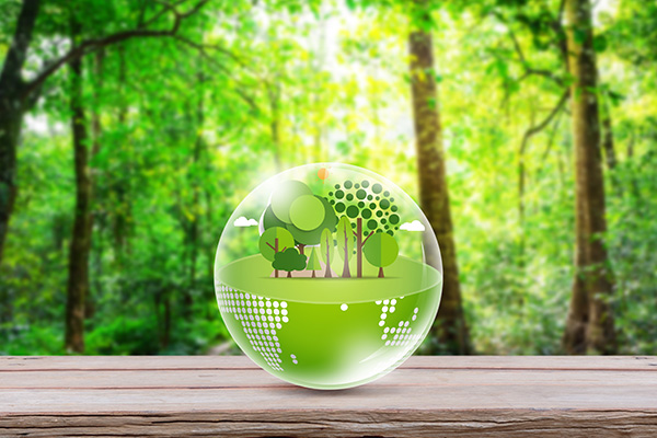 科技改善环境 中科环保带领机构实地探访绿色发展之路