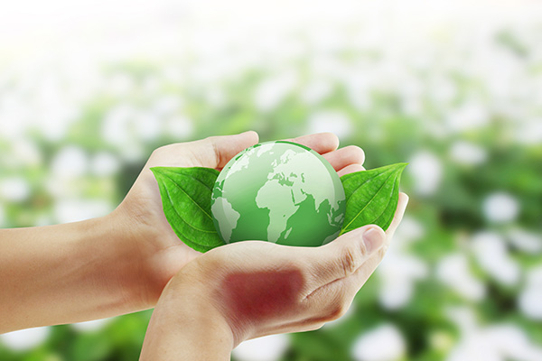 安徽：首批11项绿色食品生产应用场景发布