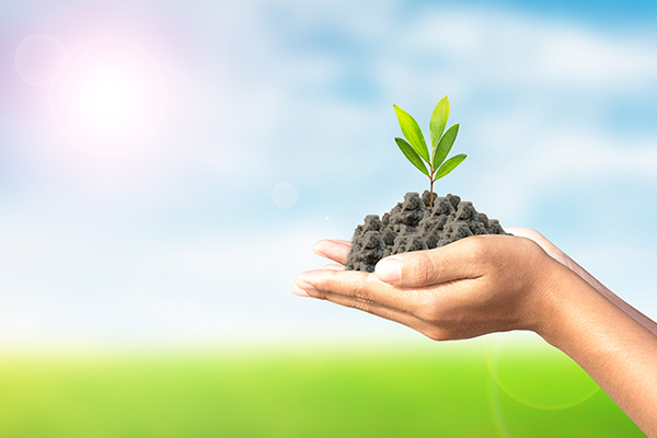 国家绿肥产业技术体系考评会在哈举办
