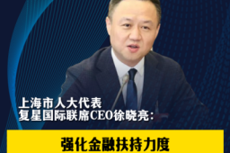 上海市人大代表、复星国际联席CEO徐晓亮：强化金融扶持力度 助力上海成为国际旅游投资目的地