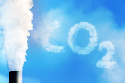 政策助力提振碳市场信心 今年以来全国碳价持续走高