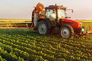 新华全媒头条|新体系 新布局 新力量——农业大省山东的大农业观实践